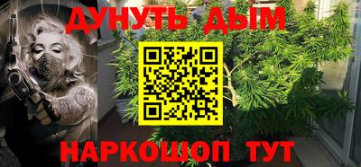 трава Кингисепп