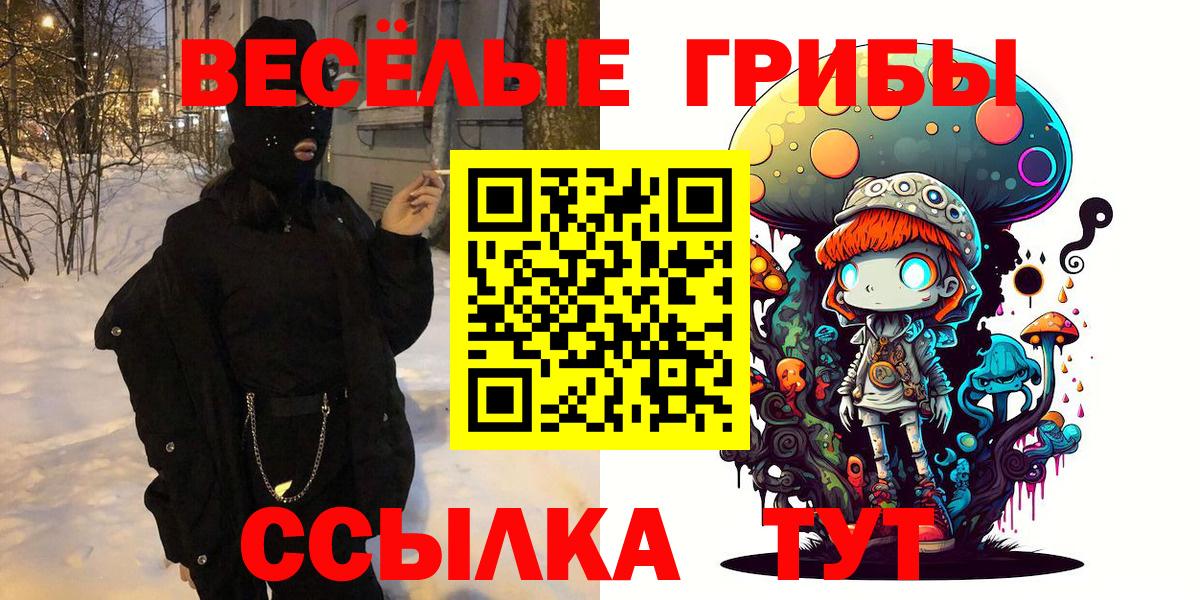 Галлюциногенные грибы Psilocybine cubensis Коркино