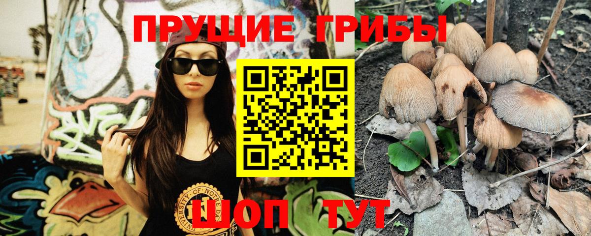 Коркино  Галлюциногенные грибы ЛСД  Вход с VPN 