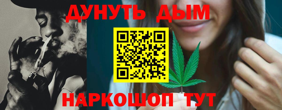 Каннабис сатива Коркино